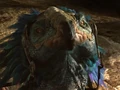 Boga 4.jpg
