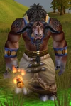 Lorekeeper Raintotem