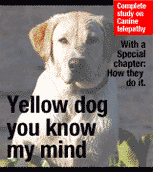 Img bio2.gif