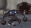 Goblin Replica Small.jpg