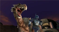 KDg.jpg