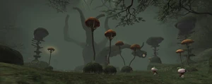 The-boyahda-tree-pic