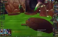 C'ThunStomach.jpg