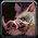 Ability hunter pet boar
