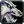 Ability mount whitedirewolf
