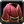 Inv chest cloth 24