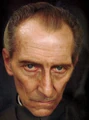 Closeuptarkin.jpg