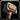 Inv hammer 21