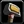 Inv hammer 21