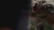 Badbear.jpg