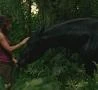 Het paard van Kate