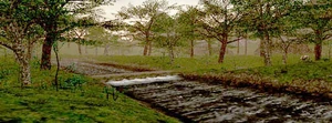 Ronfaure-east-pic.jpg