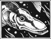 Stormfin.jpg