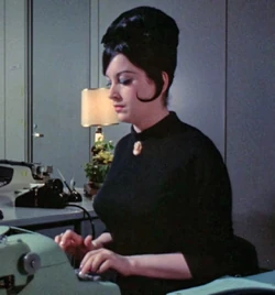 Timesecretary