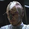 Species 6339.jpg