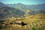 Sapa Terraces