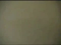 Quarantine segment 320x240.jpg