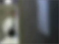 Quarantine segment start 320x240.jpg