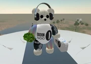 Bbc