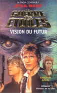 VisionFuture Fr