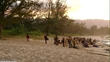 Thecase870.jpg