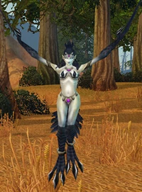 Witchwing Ambusher