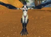 Witchwing Roguefeather