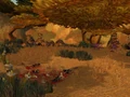 Raptor Grounds.jpg