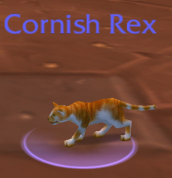 Cat Carrier (Cornish Rex)