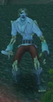 First Mate Snellig