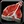 Inv misc food 70
