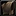 Inv shirt 05