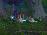 Southern Moonwell