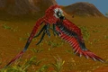 Dire Condor.jpg