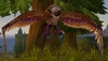 Mountain Buzzard
