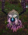 Strigid Owl