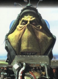 Ben quadinaros.jpg