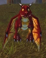 Red Whelp.jpg