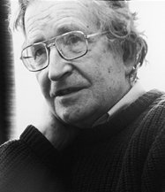 Noam chomsky cropped