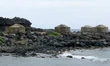 The Others' Camp.jpg