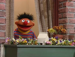 Windowbox