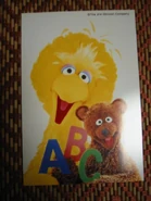 Bbbearcardjp