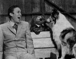 LassieJimmyRowlf.jpg