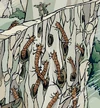 WalkWorm-Survivors.jpg