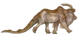 Dune Bantha