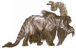 Dwarf bantha2.jpg