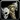 Inv hammer 13
