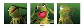 Poster.kermit3