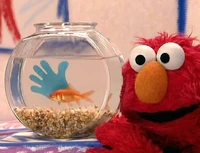 ElmosWorldHands02.jpg