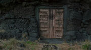 The door